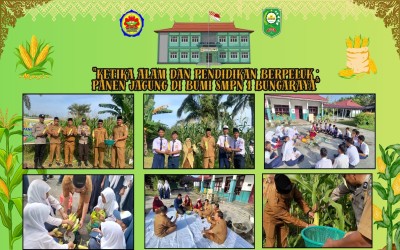 DARI BENIH HARAPAN KE BUAH KEJAYAAN  HARMONI PANEN RAYA  JAGUNG SMP NEGERI 1 BUNGARAYA